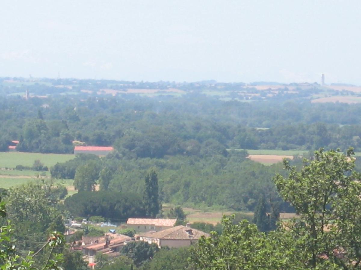 Lévignac-sur-Save Chateau De Faudade מראה חיצוני תמונה